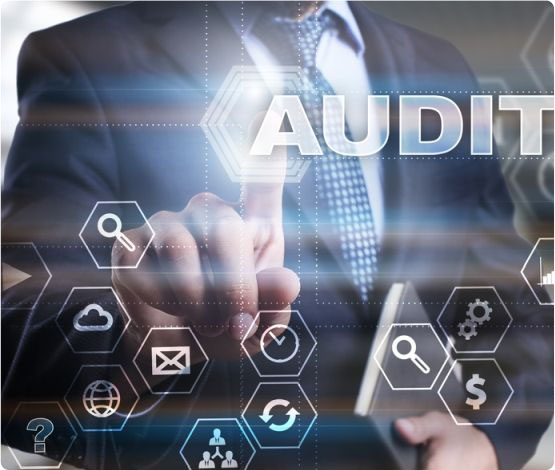 Why Does the company need to be auditing?